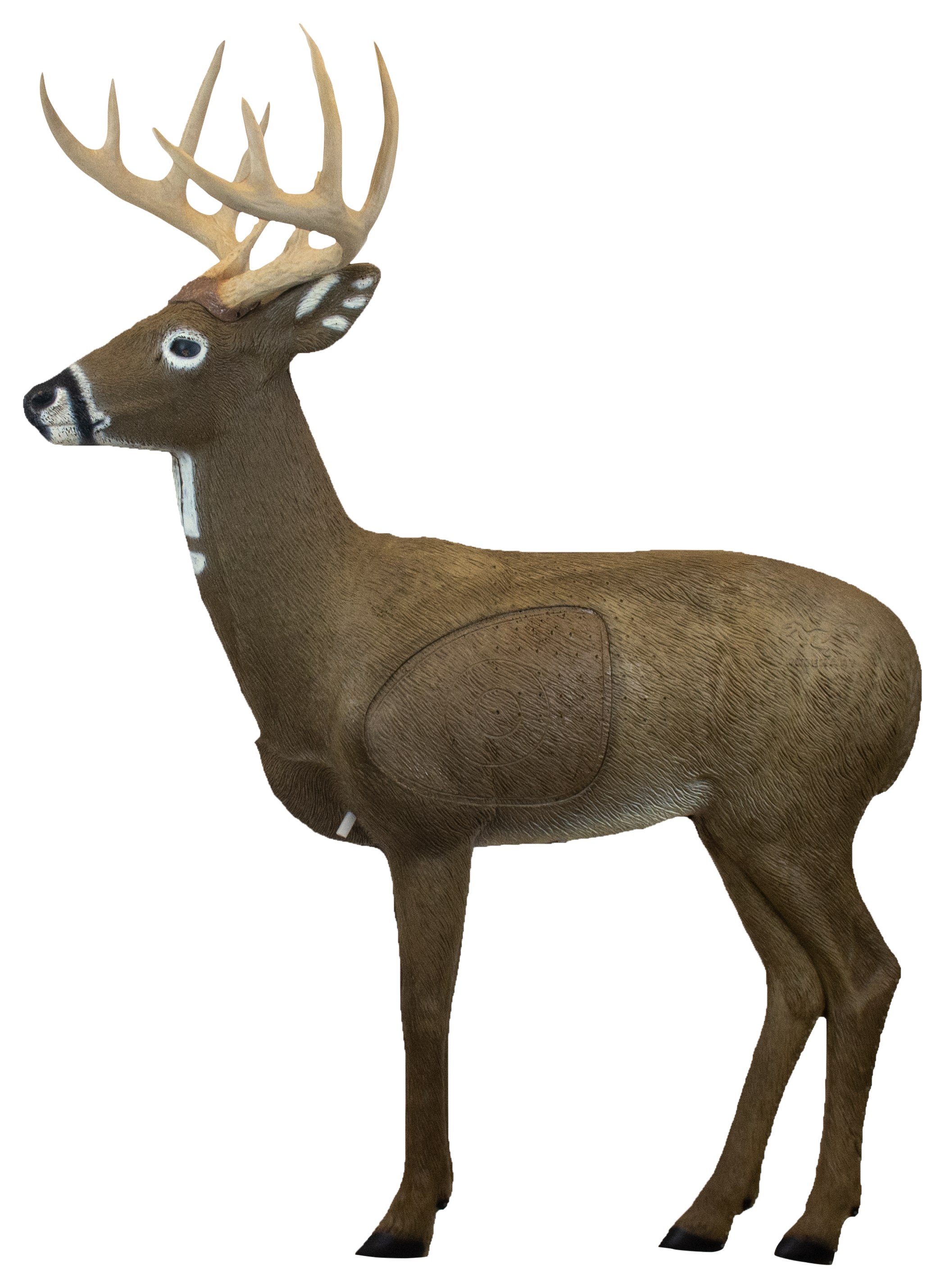 Rinehart Targets Big Jim 3D Deer Target Cabela's